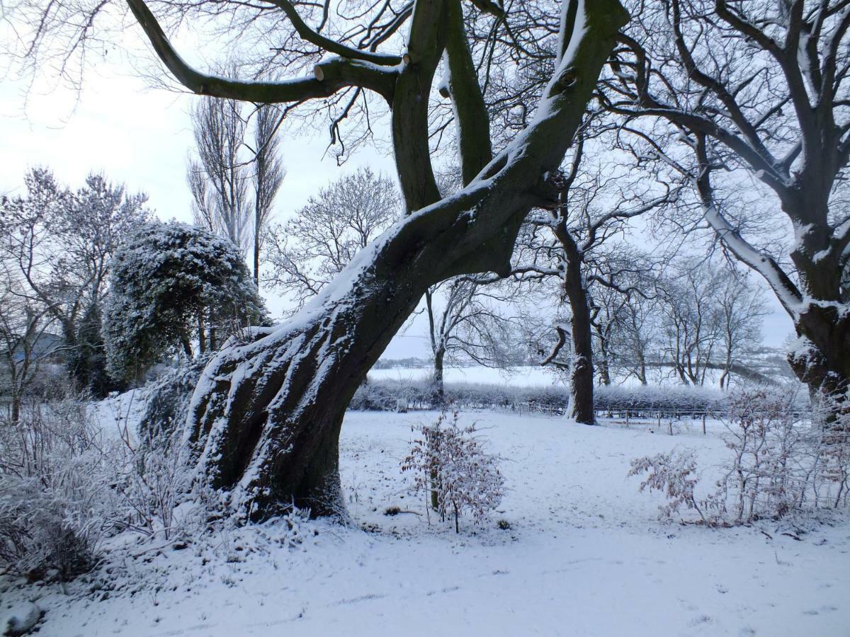 White House Farm Cottages West Haddon Екстериор снимка